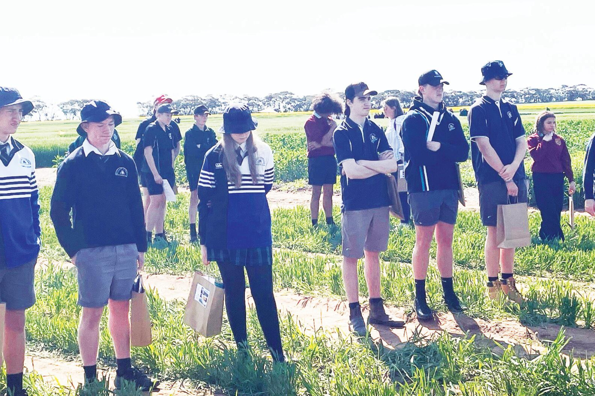 Field day trials and streams - feature photo