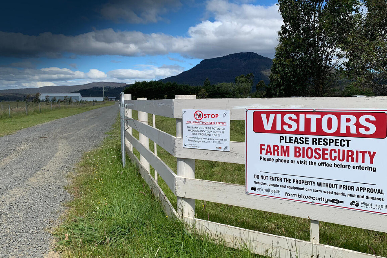 More farm signs heightening biosecurity awareness - feature photo