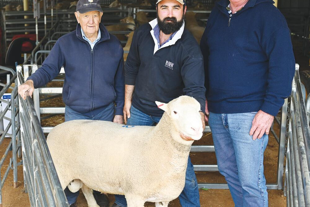 Don McKinnon, Lachlan Bailey and top buyer David Moyle. LH PHOTO