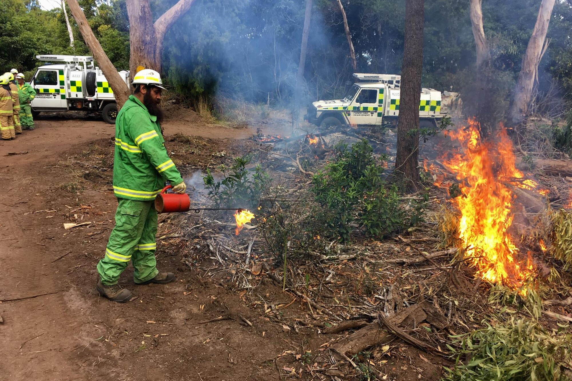 Inglewood planned burn today - feature photo