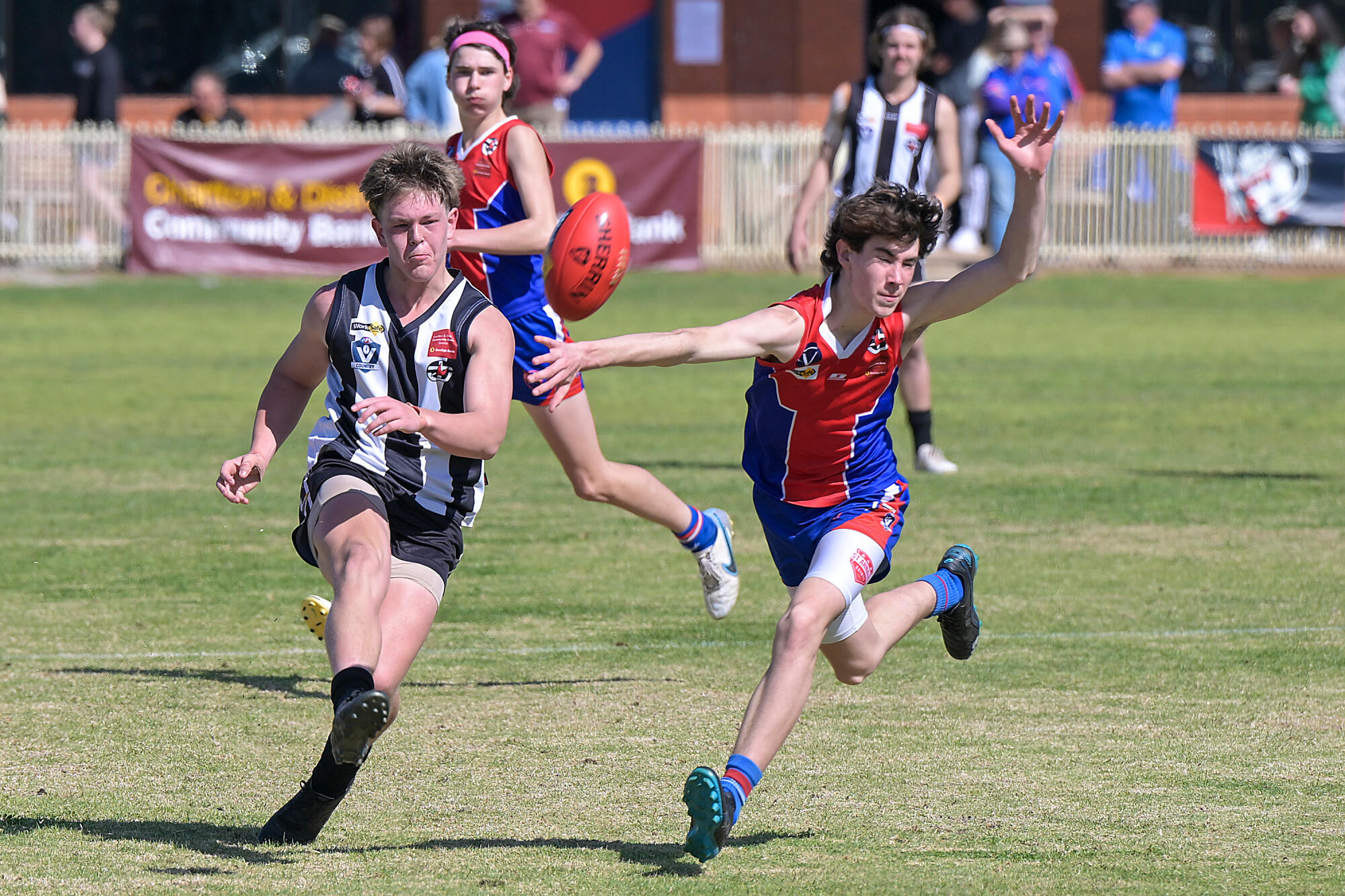 Young Pies take direct route to grand final - feature photo