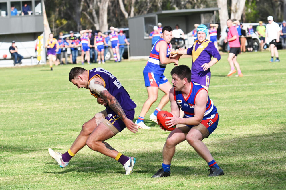 Bulldogs all grit in preliminary final - feature photo