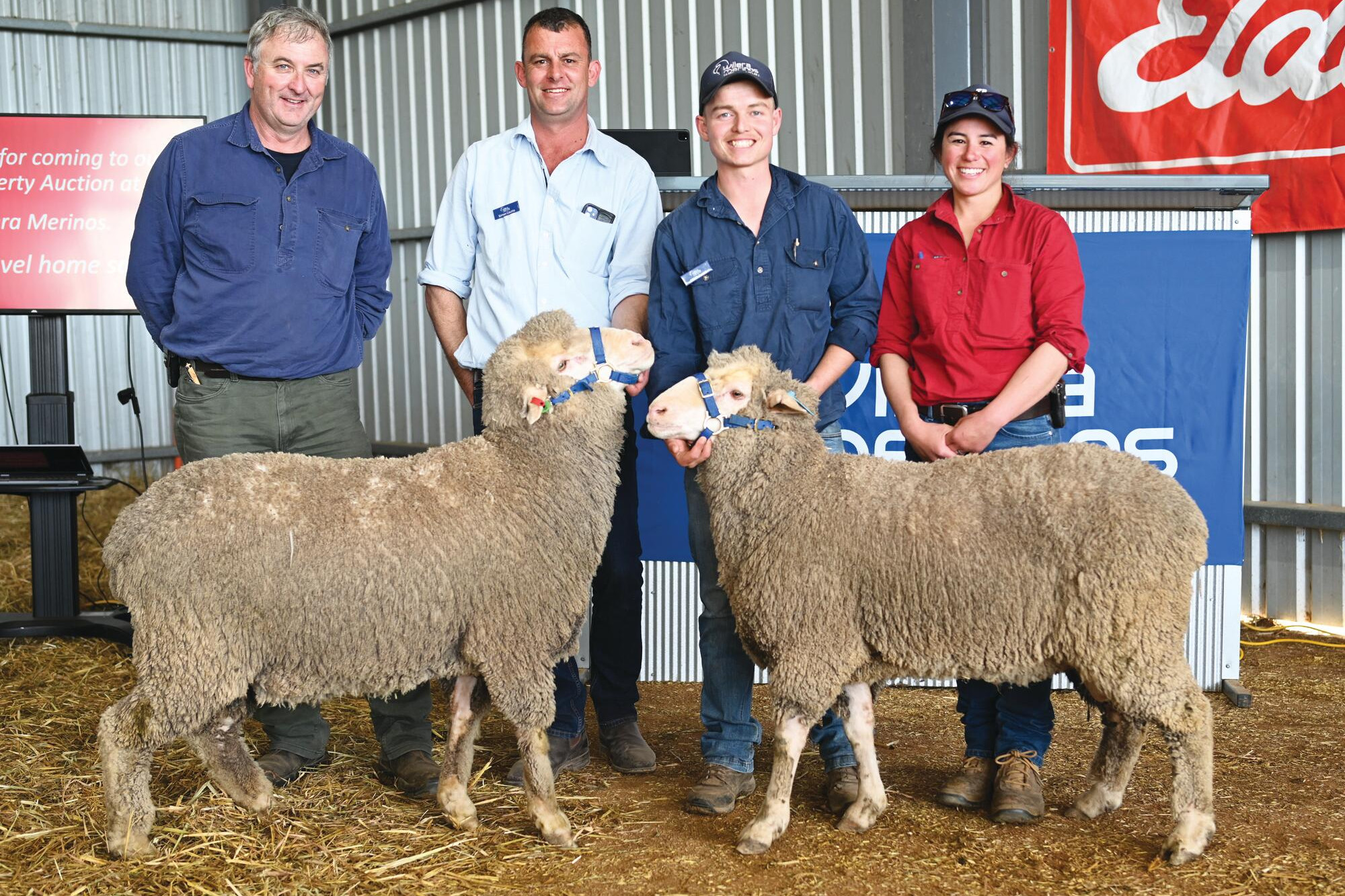 Andrew and Ann Welsh with Willera’s Simon Coutts and Mitch Avard (centre) with Friday’s top-priced rams. LH PHTO