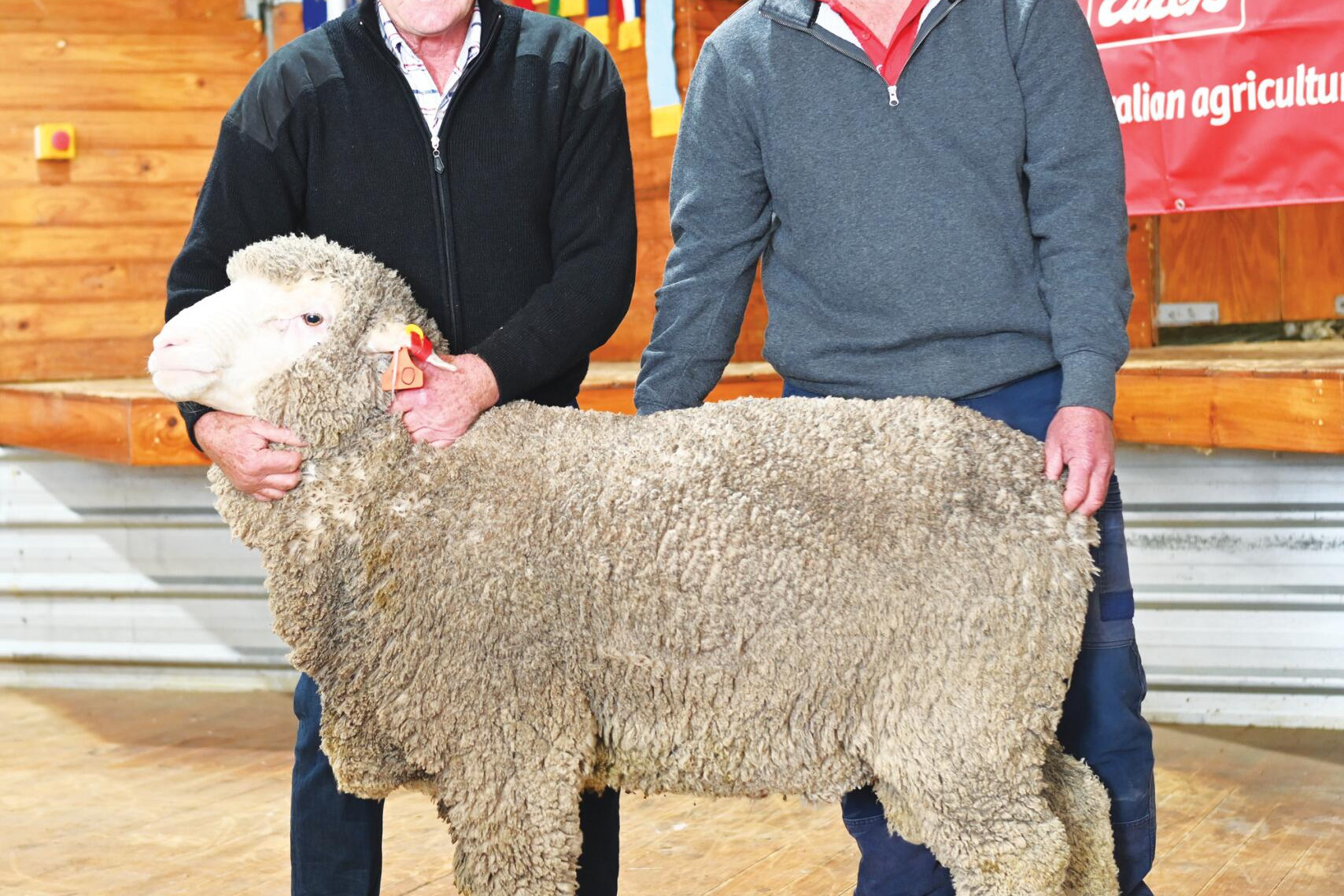 Kerrilyn stud principal Norm Weir with top price buyer Brendon Lanfranchi and the 18.1 micron ram, one of two purchased. LH PHOTO