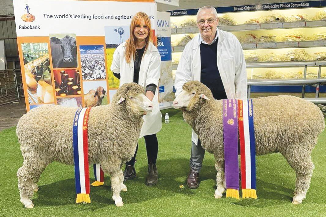 Shows confirm super sheep consistency - feature photo