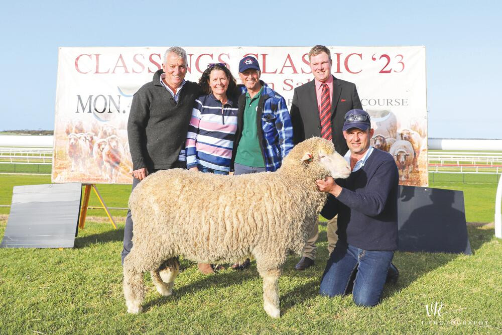 Classic return above average for local stud - feature photo