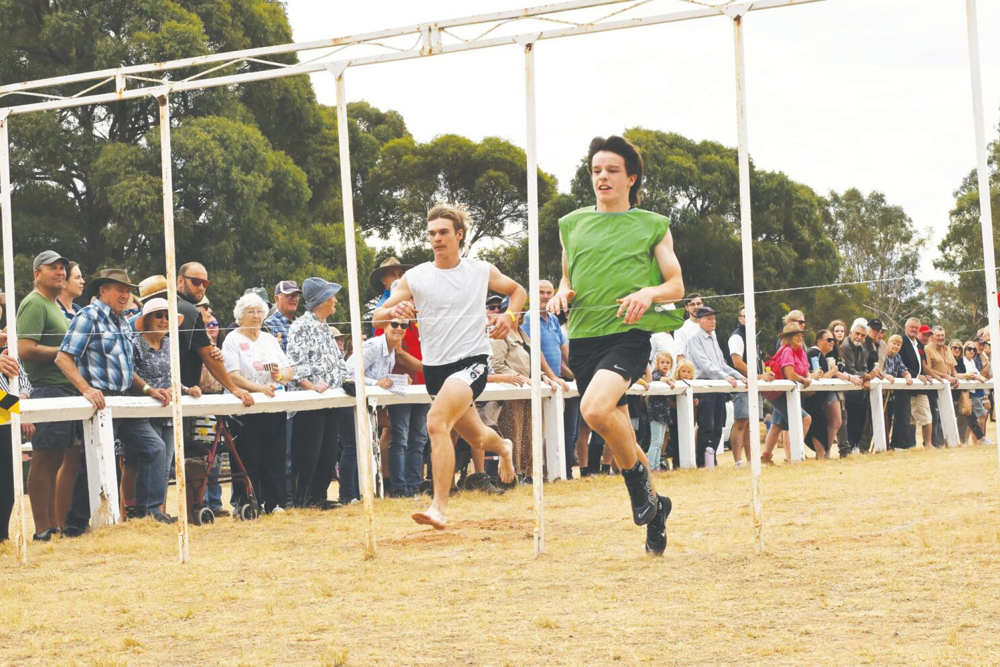 Charlie sprints to Gift victory at Rheola - feature photo