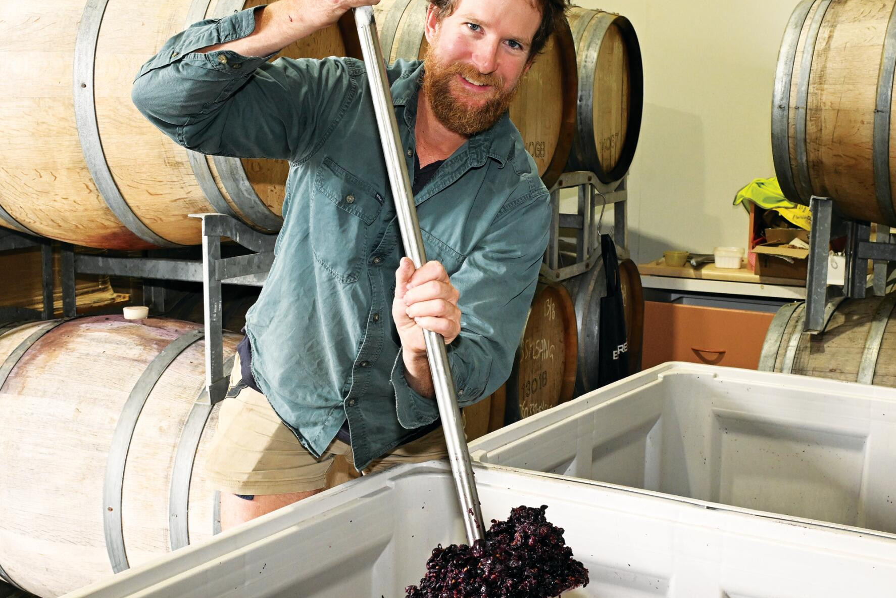Winery presses juices after good harvest - feature photo