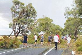 Trees down in first decent dump in two months - feature photo