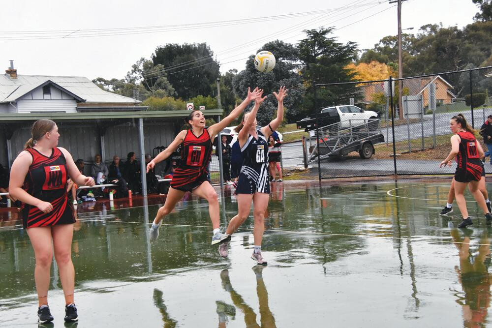 Dynamic Derby - Pies and Redbacks meet today - feature photo