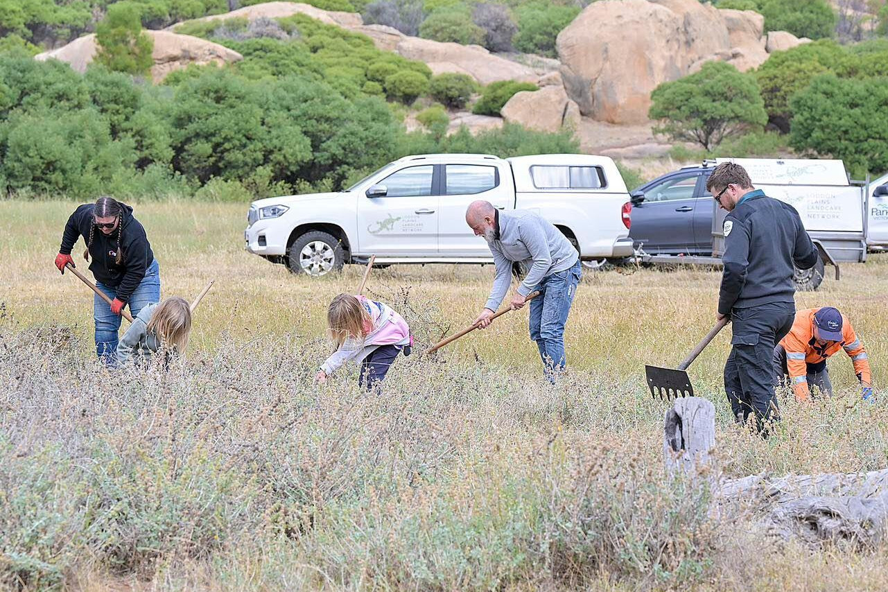 Partnership tackles weeds in region - feature photo