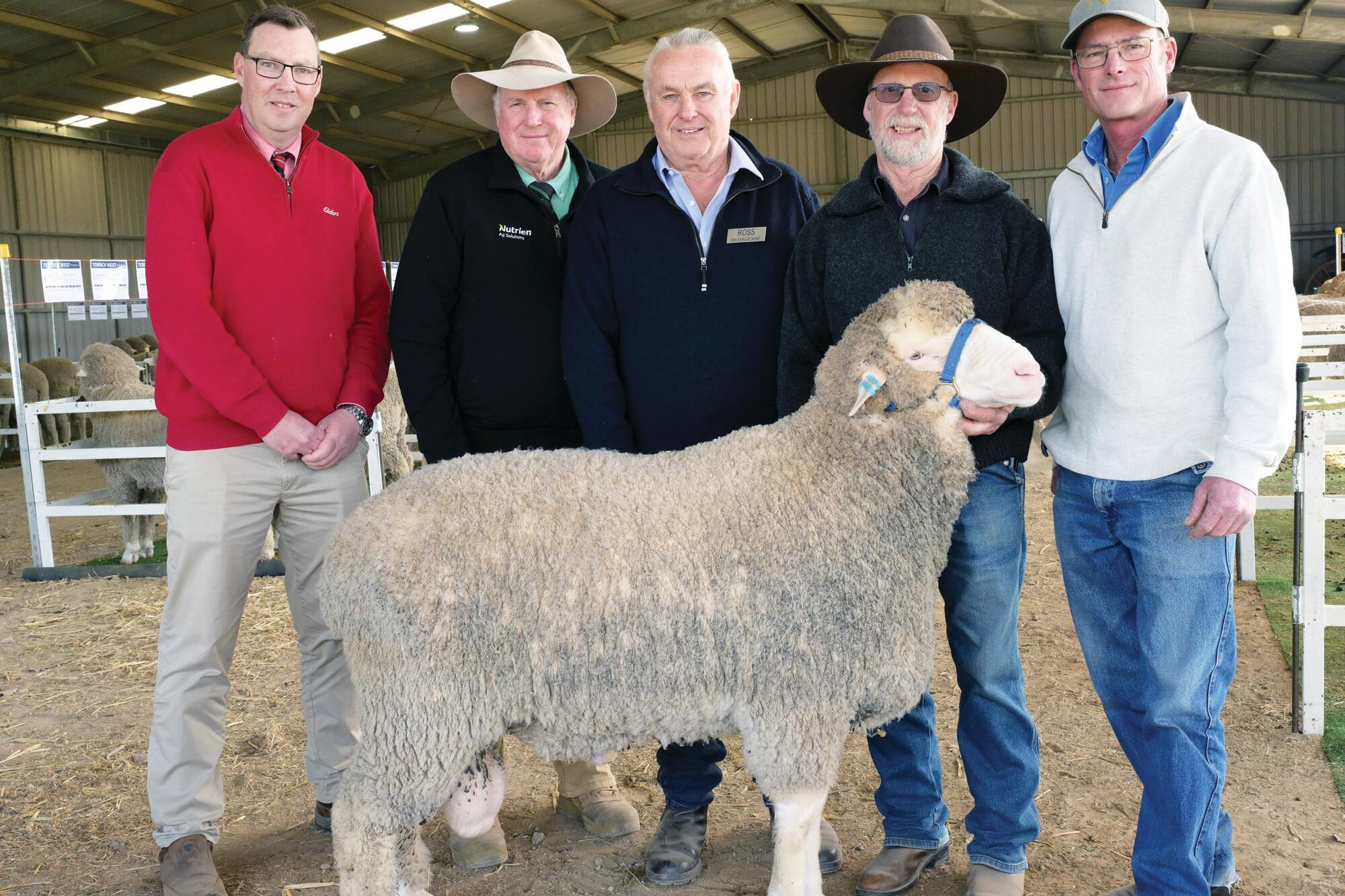 Good genetics, all conditions - feature photo