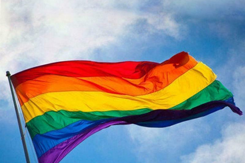 'Rainbow' petition seeks signatures in committee call - feature photo