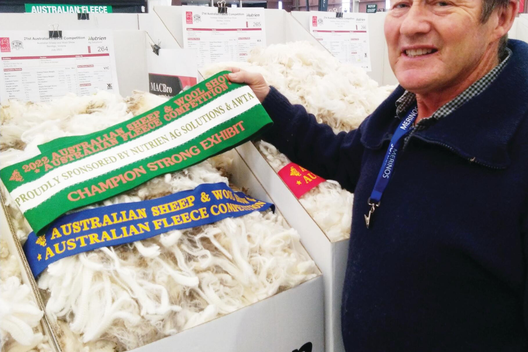 Grandma’s genes: The ewe behind a modern stud dynasty - feature photo