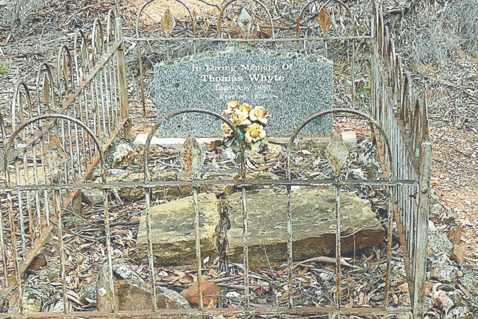Father felled and forgotten without family - feature photo