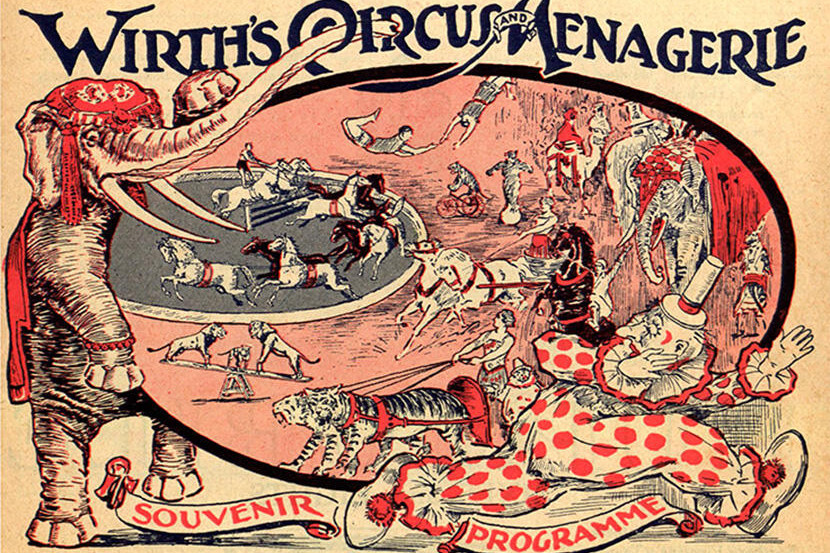 Summer reading: When the circus came to town - feature photo