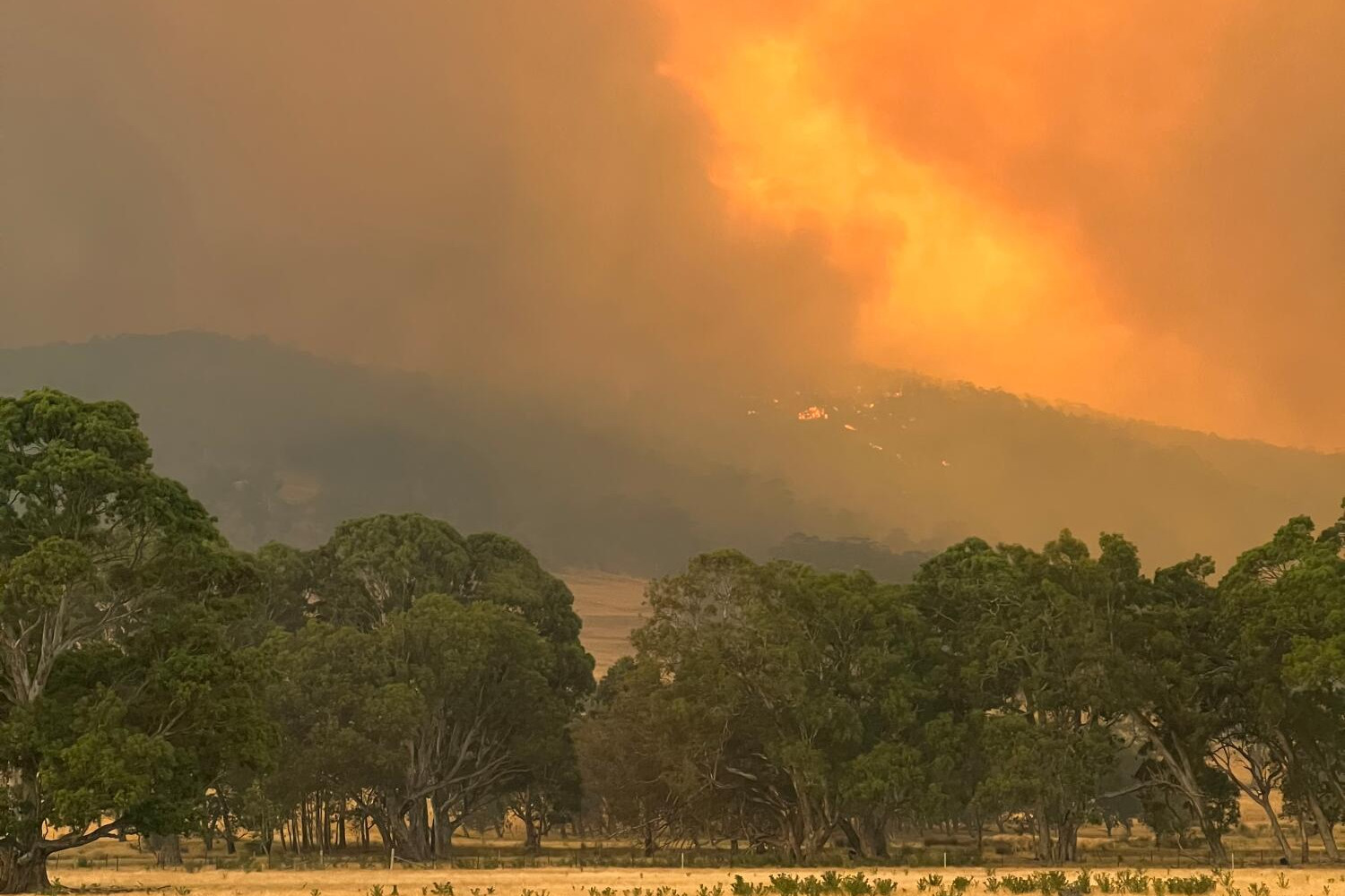 Loddon brigades' strike team sent to Grampians fire - feature photo