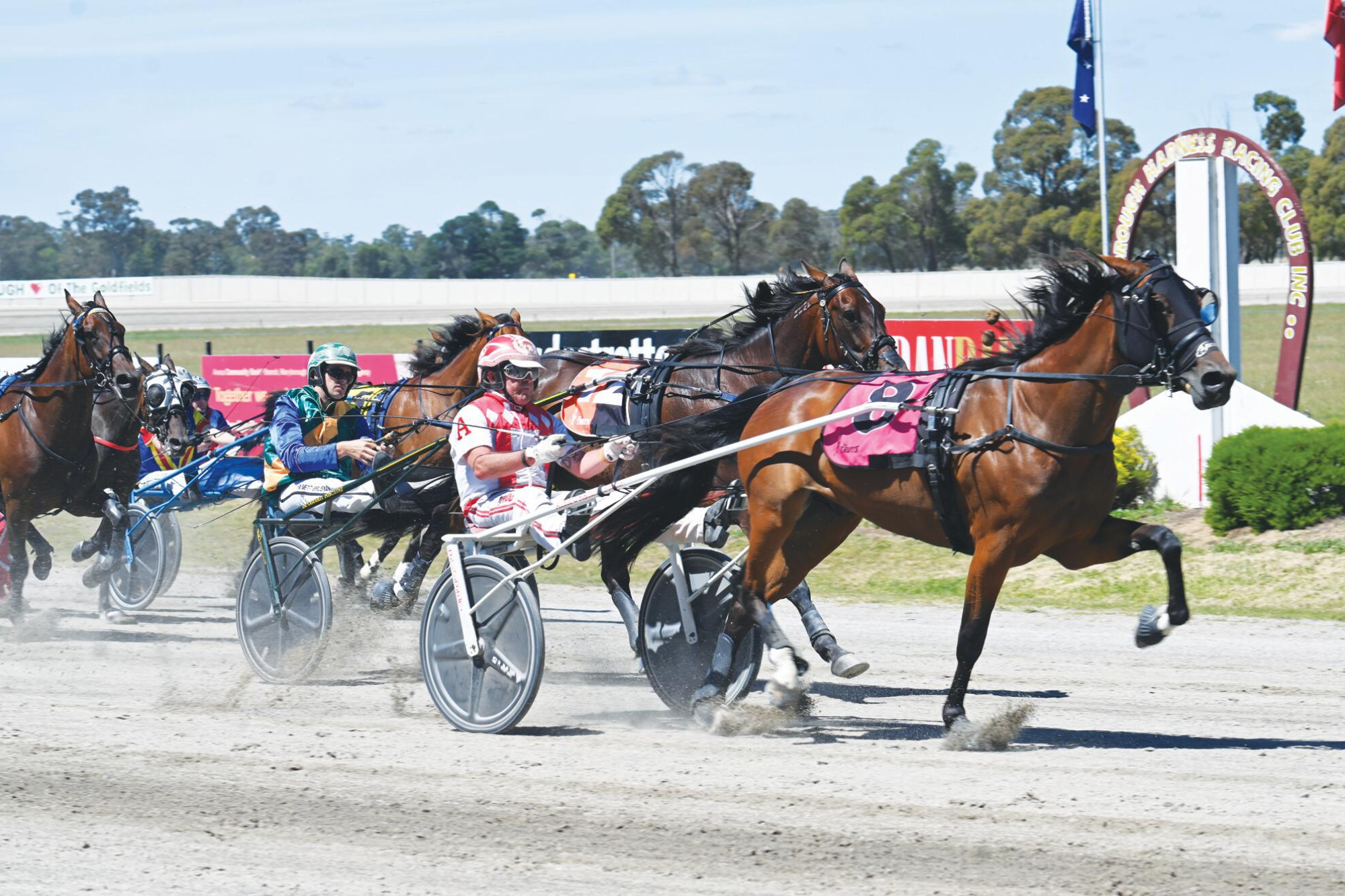 Getting back on track - the trots are back - feature photo