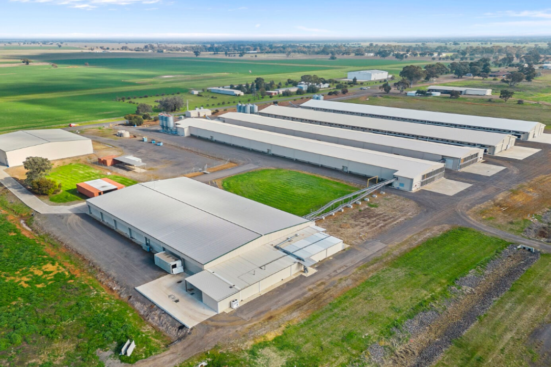 Under offer: Troubled egg farm site could be sold - feature photo