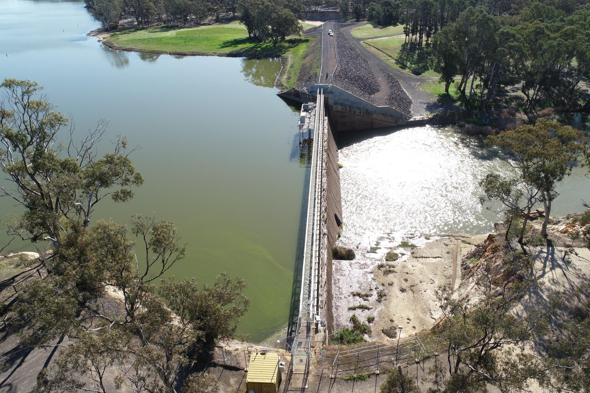 Algae alert issued for Laanecoorie - feature photo