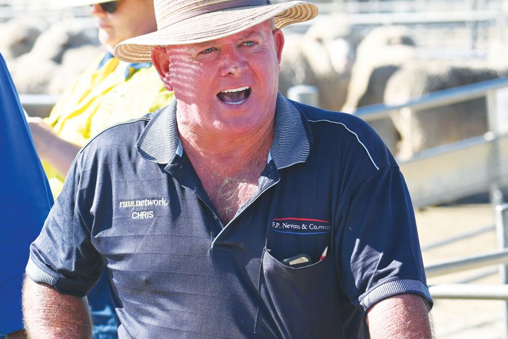 Market day: buyers and sellers keep optimism - feature photo