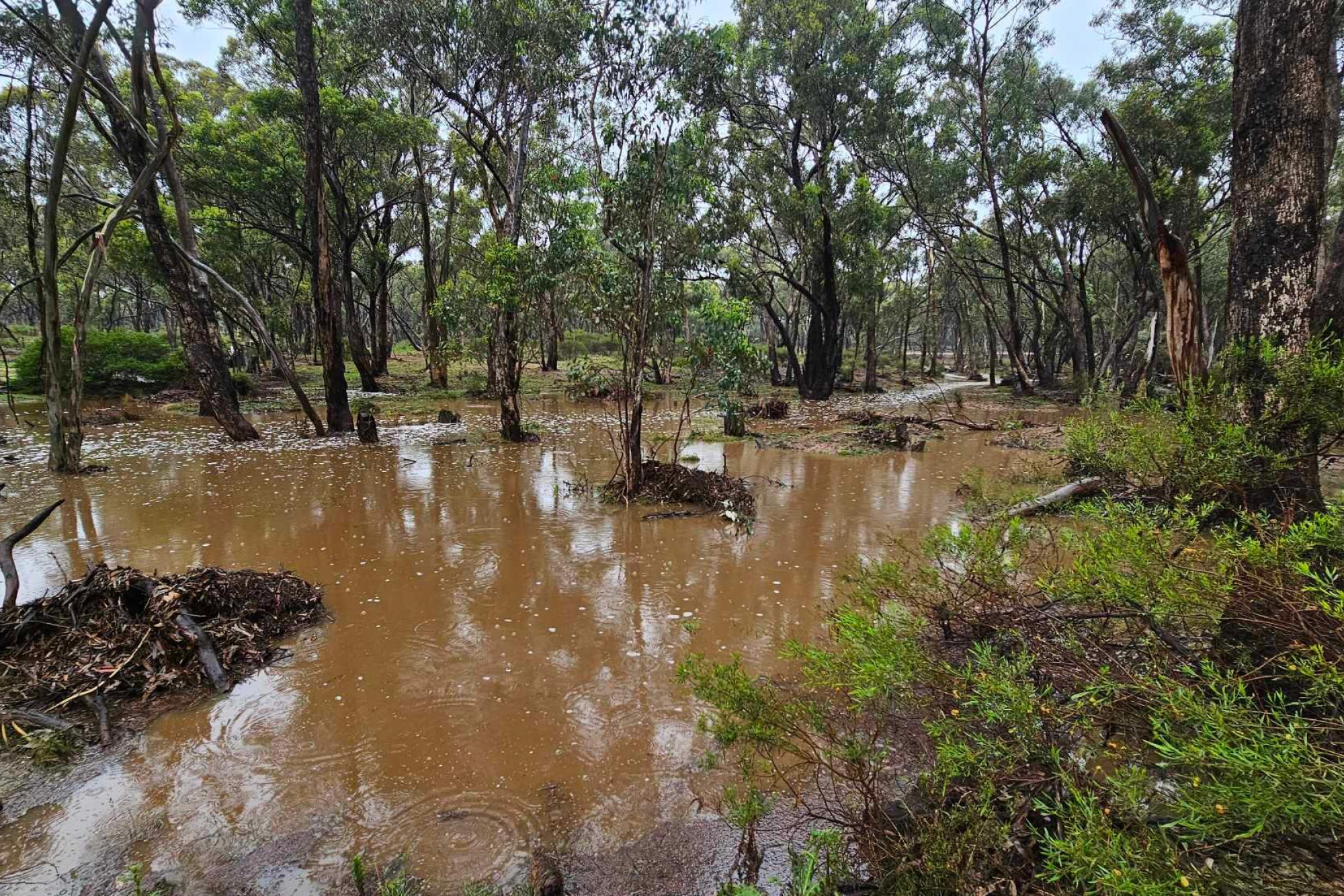 Flooding near Wallaby Way. MIchelle Murray photo