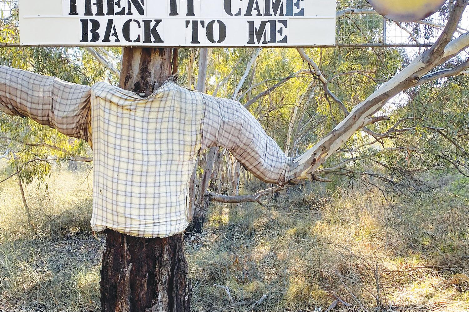 OTF: Chilly mornings and Jack Frost - feature photo