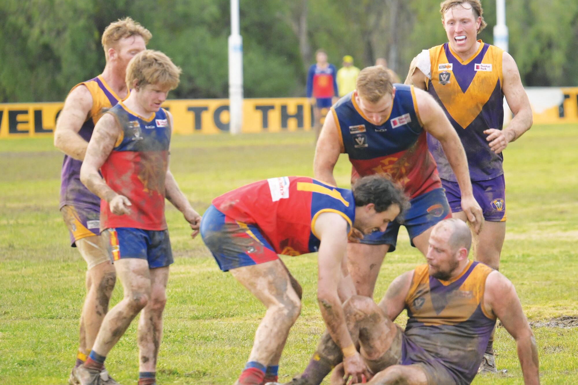 Heavy field fells Bears in the first - feature photo