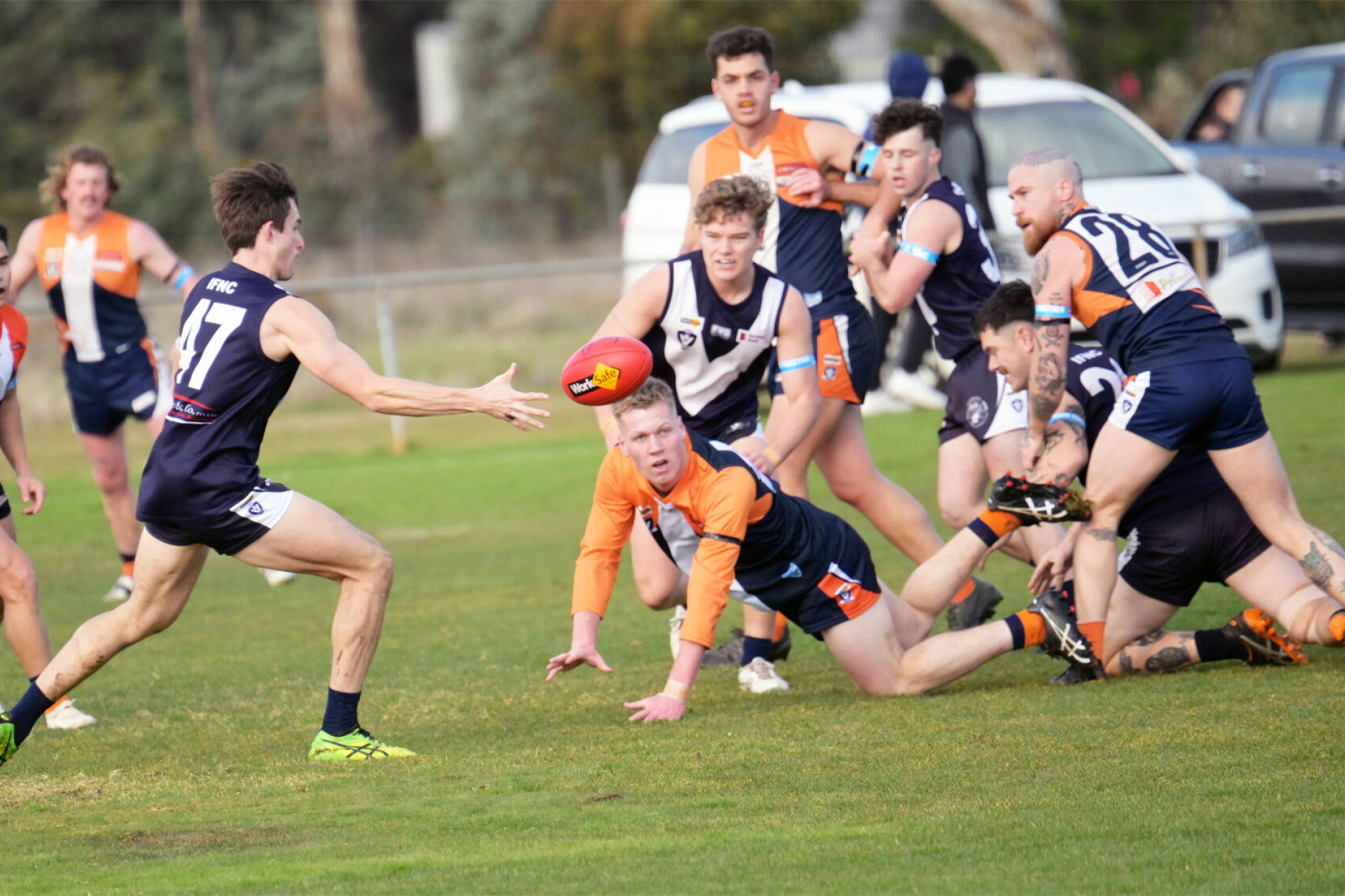 Eagles in full flight with the early wind - feature photo