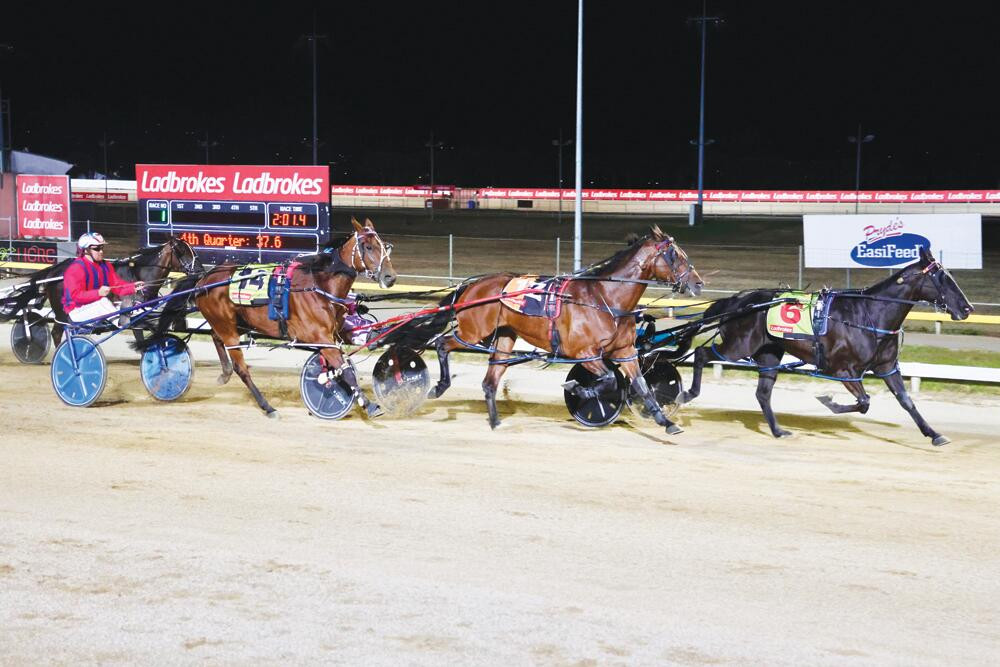 Maxted's Marvel: Bliss with cup win - feature photo