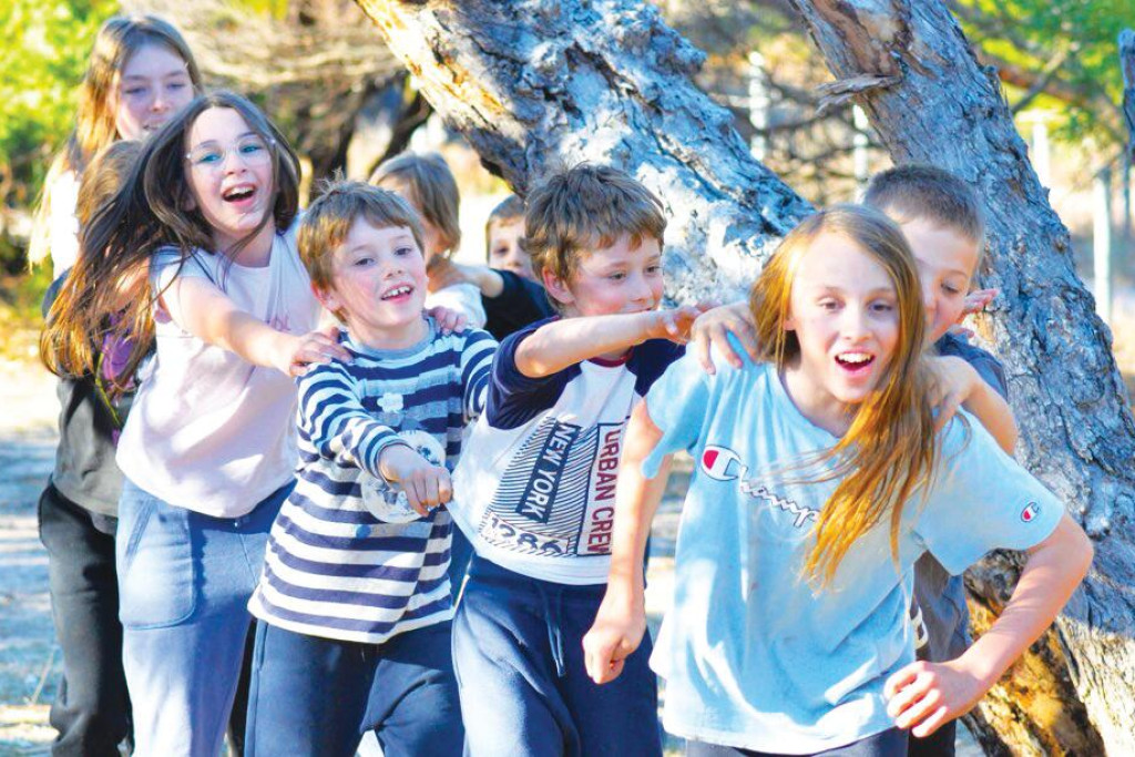 Education Week: Excitement in class and exploring local bushland - feature photo