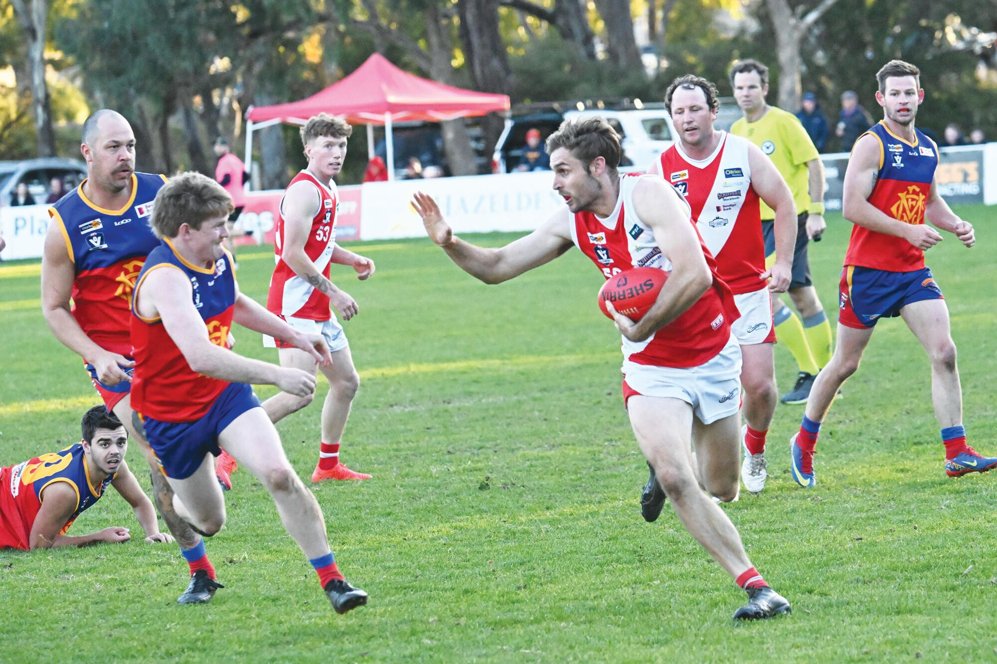 Gutsy Bridgey primed for assault on Panthers - feature photo