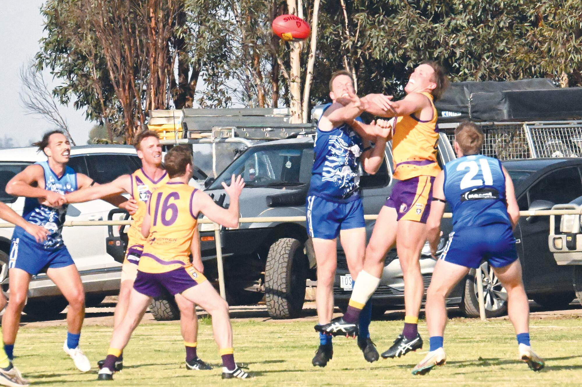 Bears break free - Mellington's 13 - feature photo