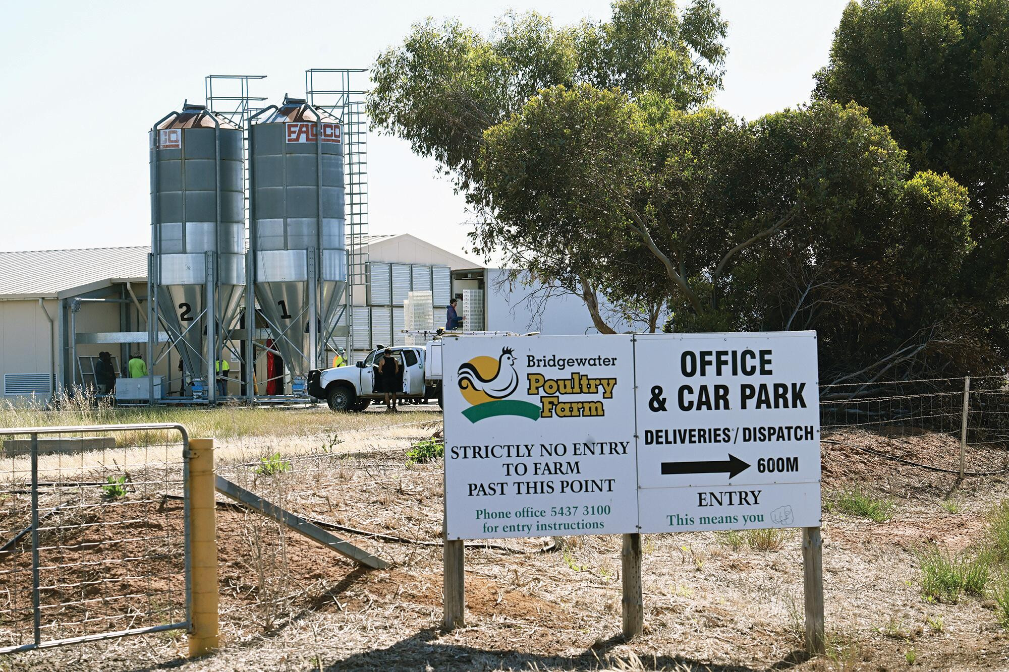 Crack at growth: land release, egg farm to bounce back - feature photo
