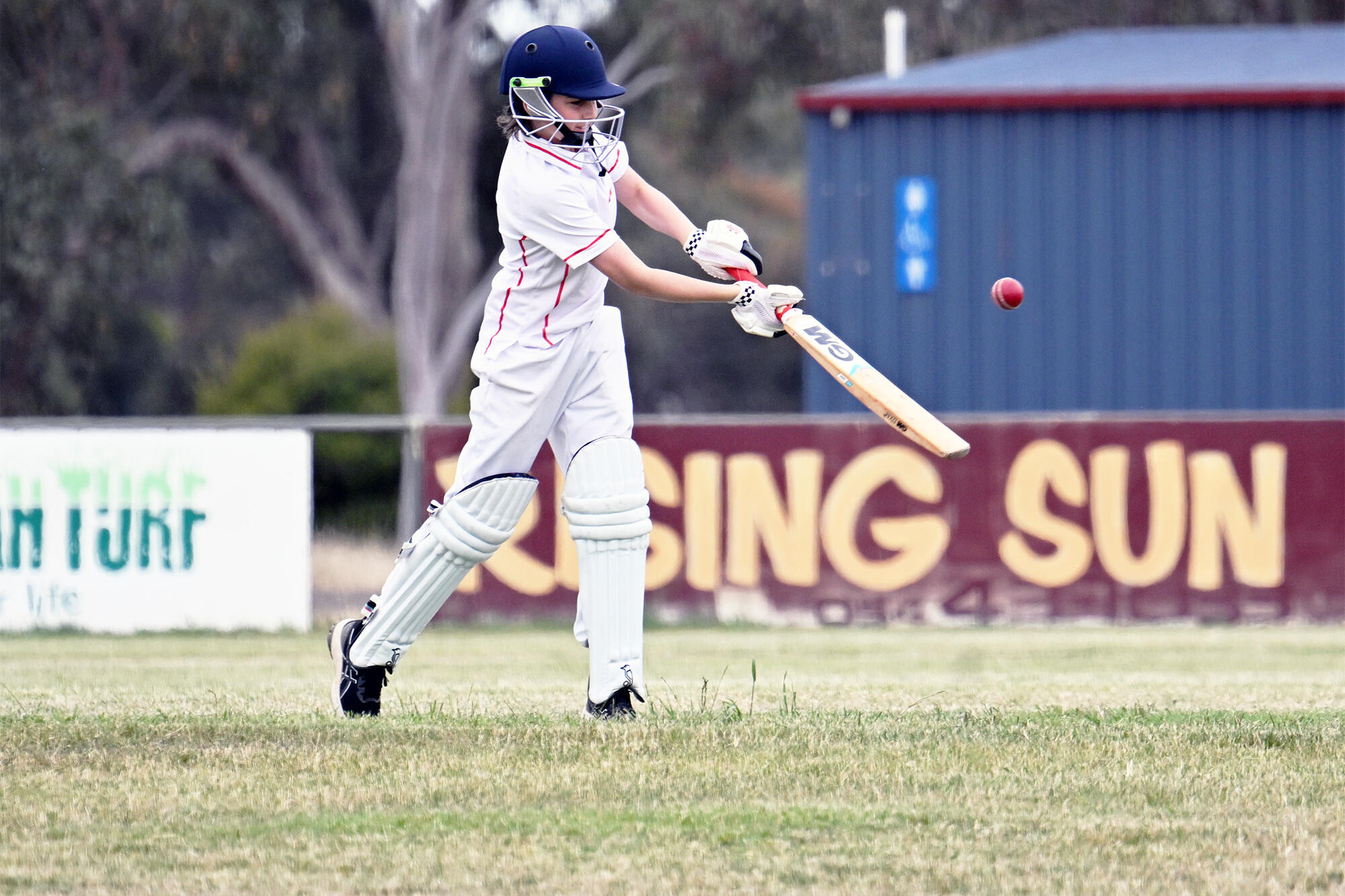 Bulls wait before deciding fate of senior and junior sides - feature photo