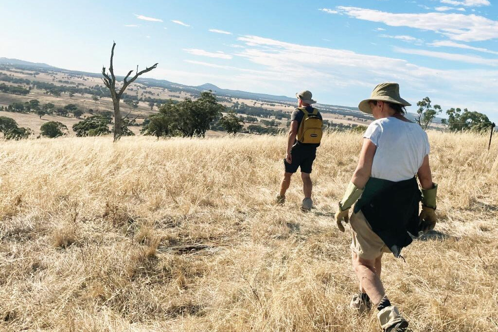 Cherished transformation: bushland heritage - feature photo