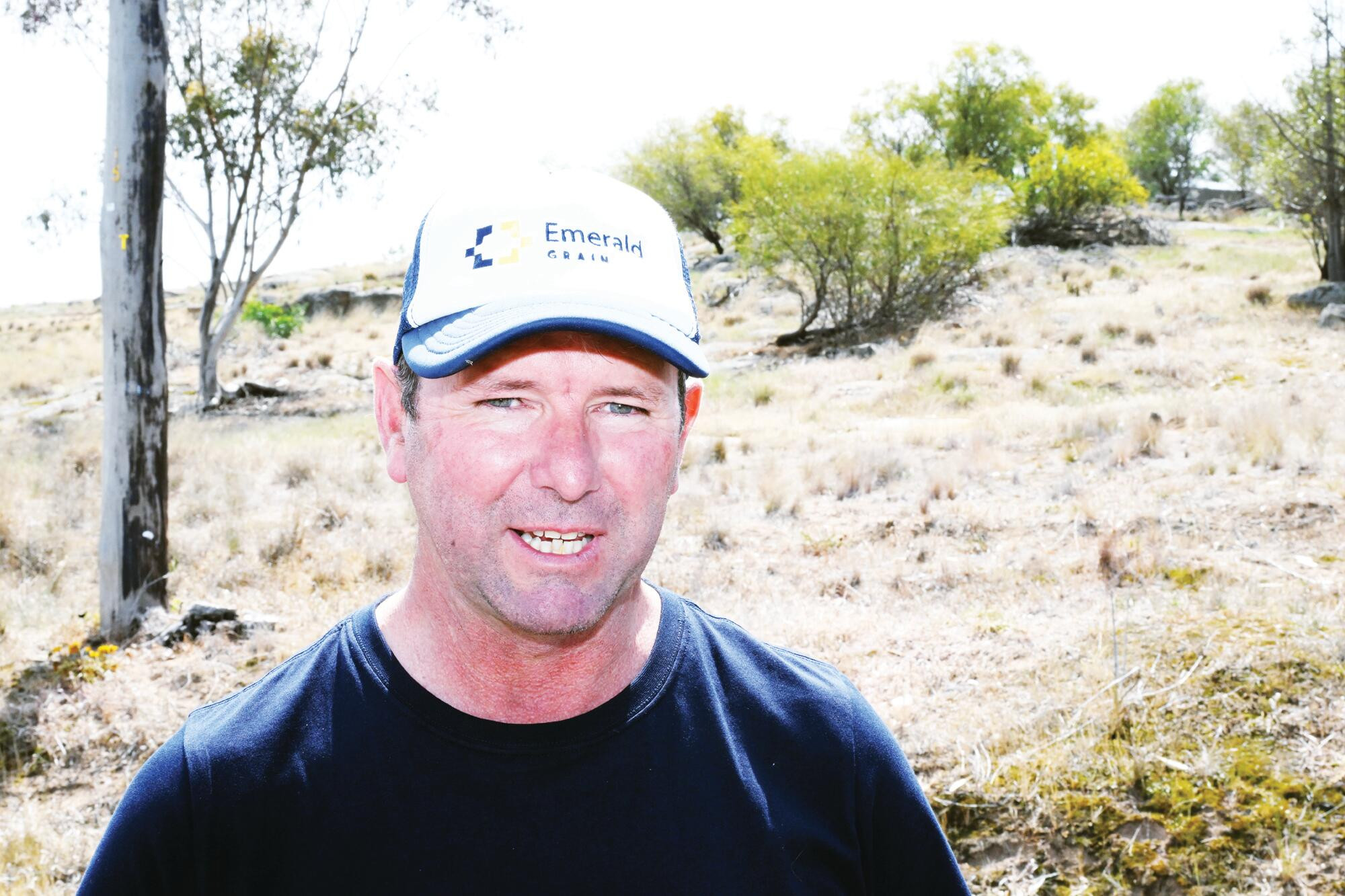 Levy fight: Four-point action plan from VFF - feature photo