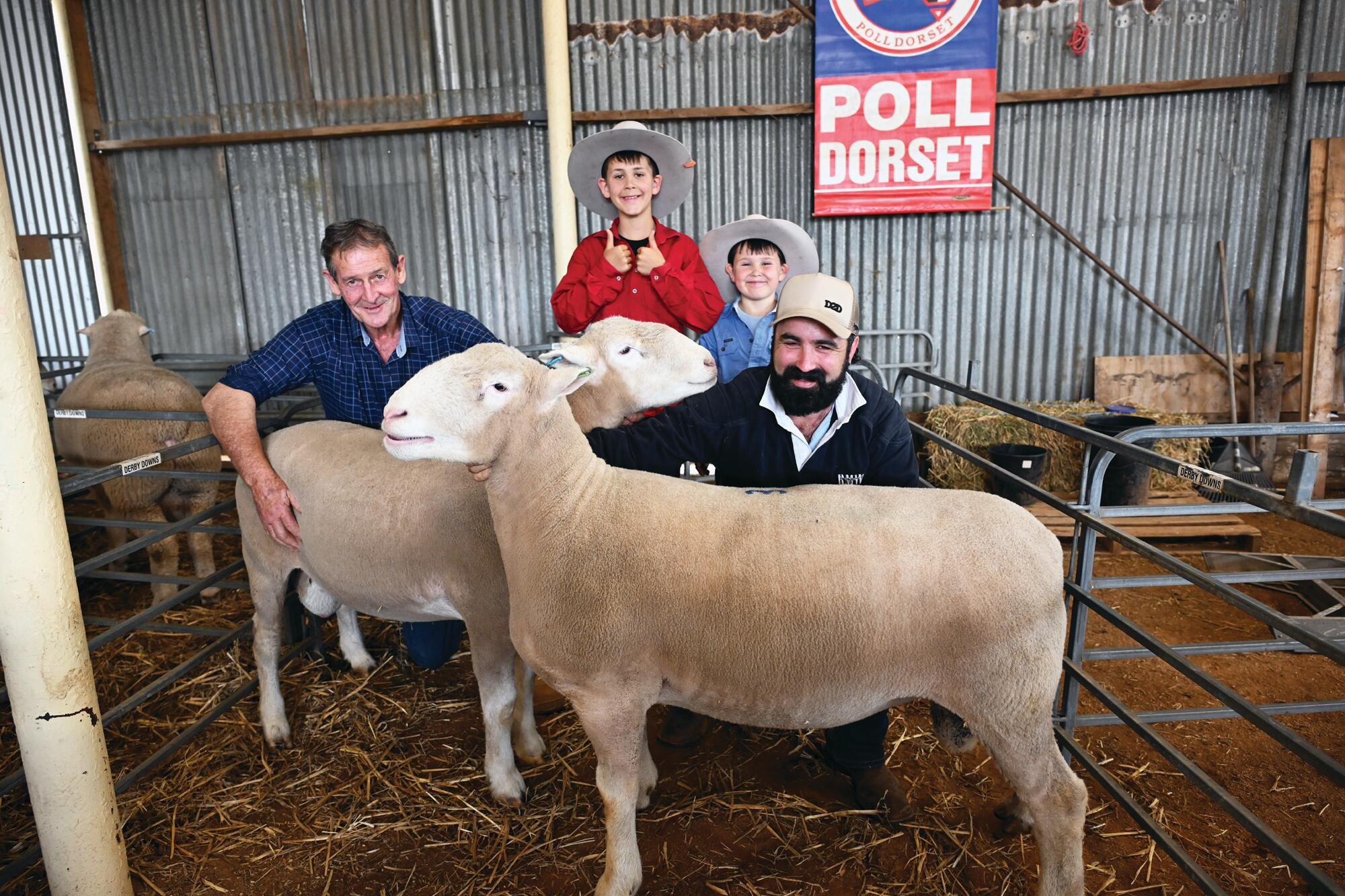 Derby genetics destined for export pool - feature photo