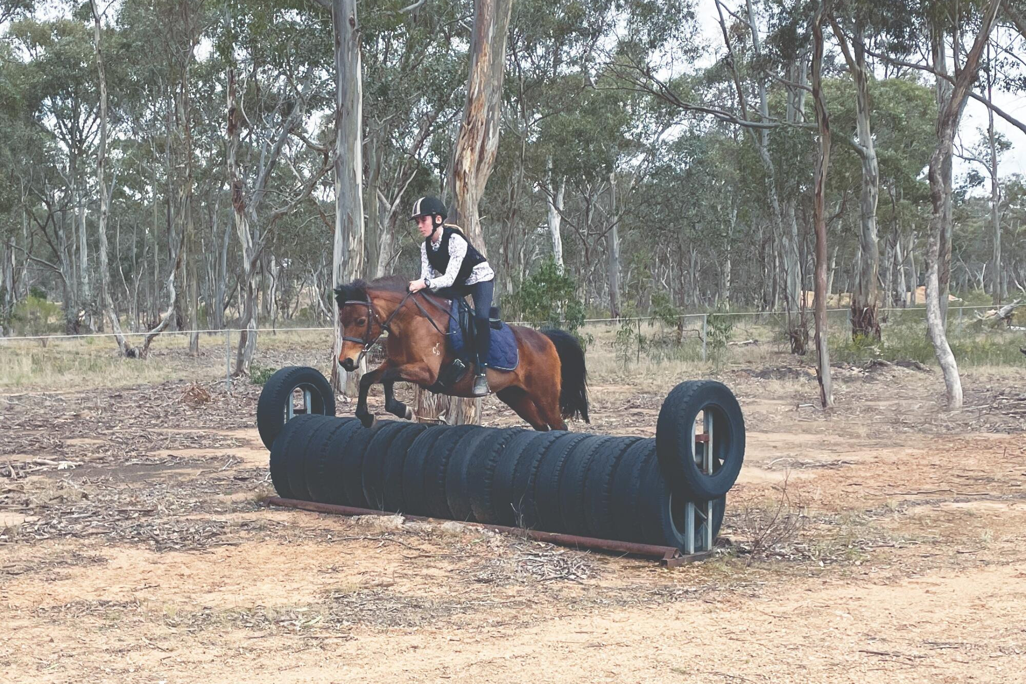 Pony club's holiday camp - feature photo