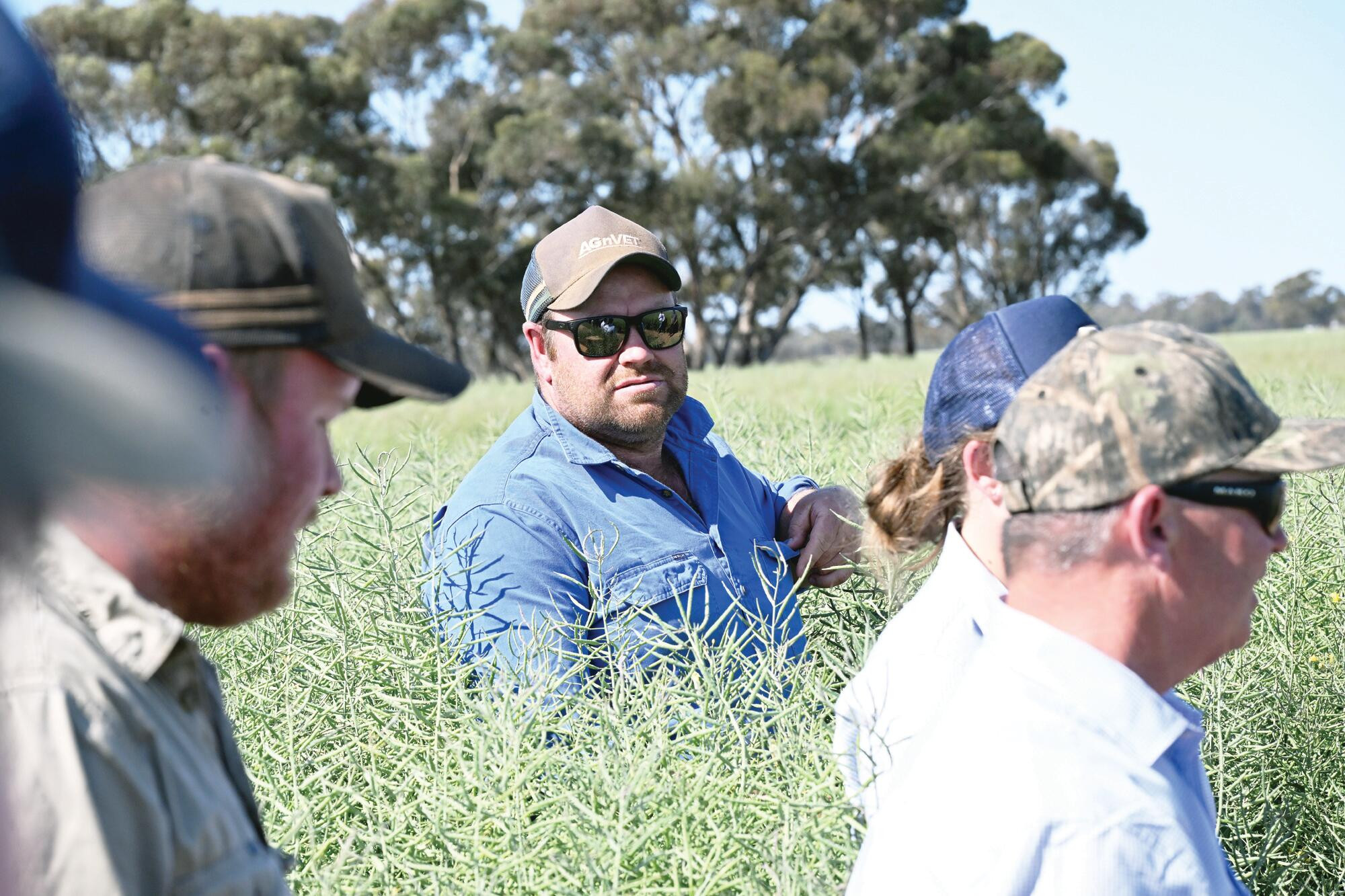 Next generation checks on canola trial - feature photo