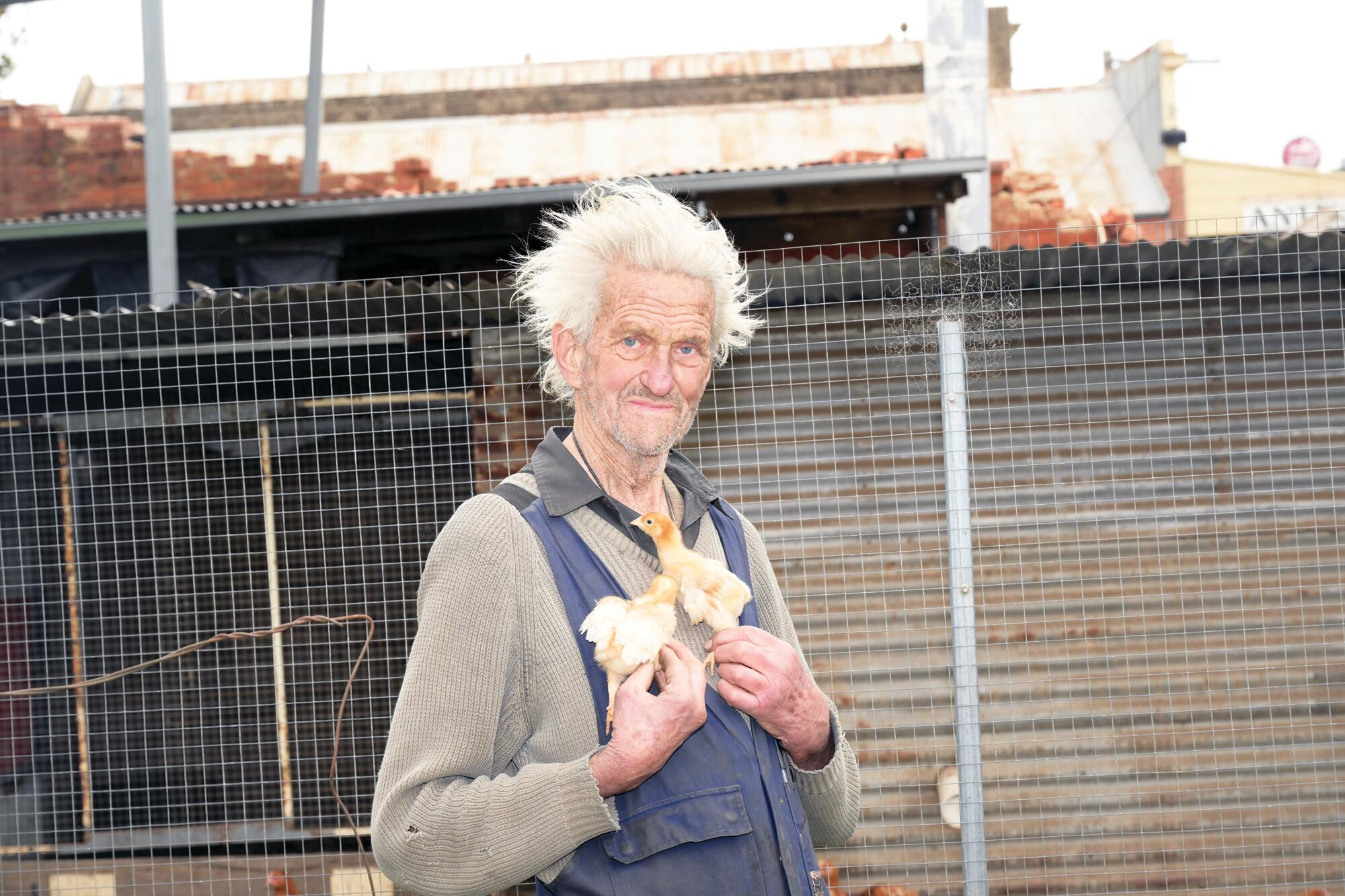 Chicks chirp David’s faith after fire - feature photo