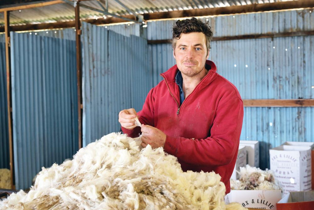 Training schools filling the shed gap - feature photo