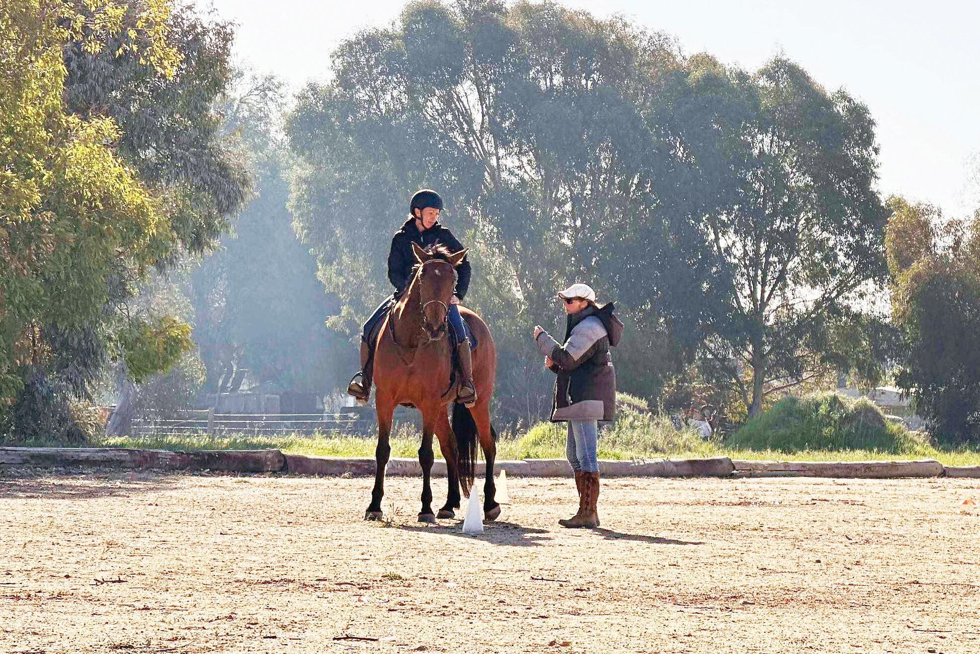 Riding horses Harrison’s way - feature photo