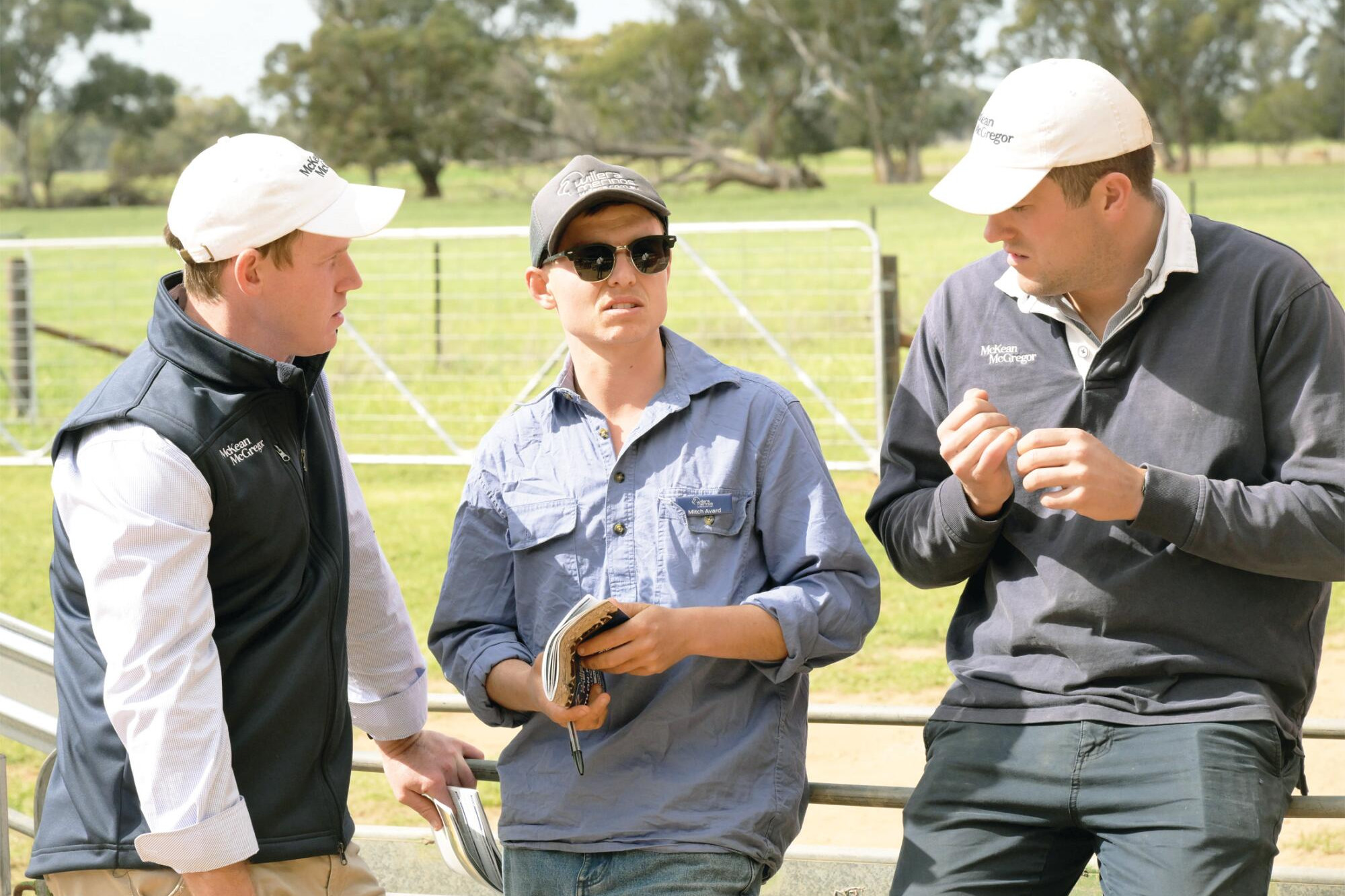 Lachie McAllister, Mitch A’Vard and Will Holt at the Willera Merinos sale. LH PHOTO