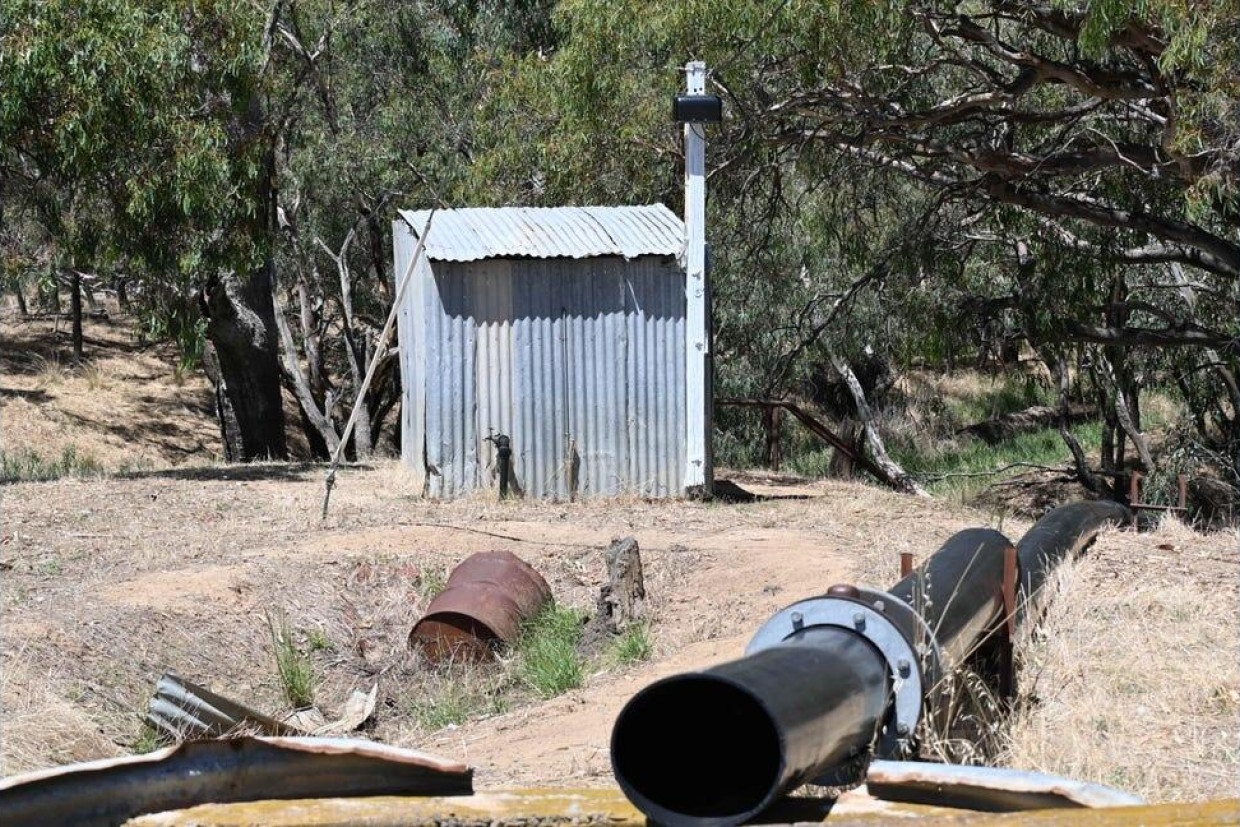 Interest is high ahead of major online auction - feature photo