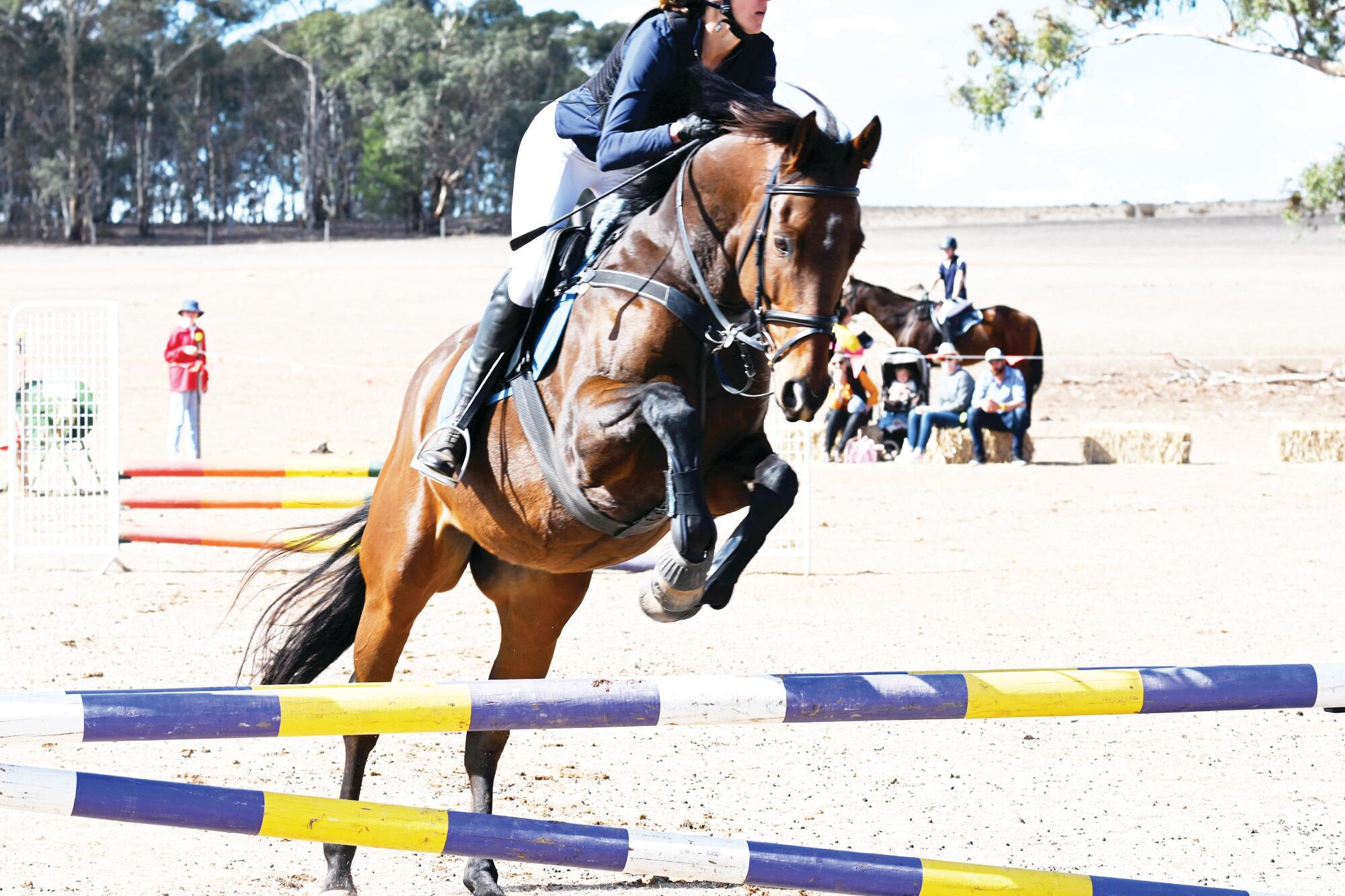 Horses over hurdles and all the Rheola results - feature photo