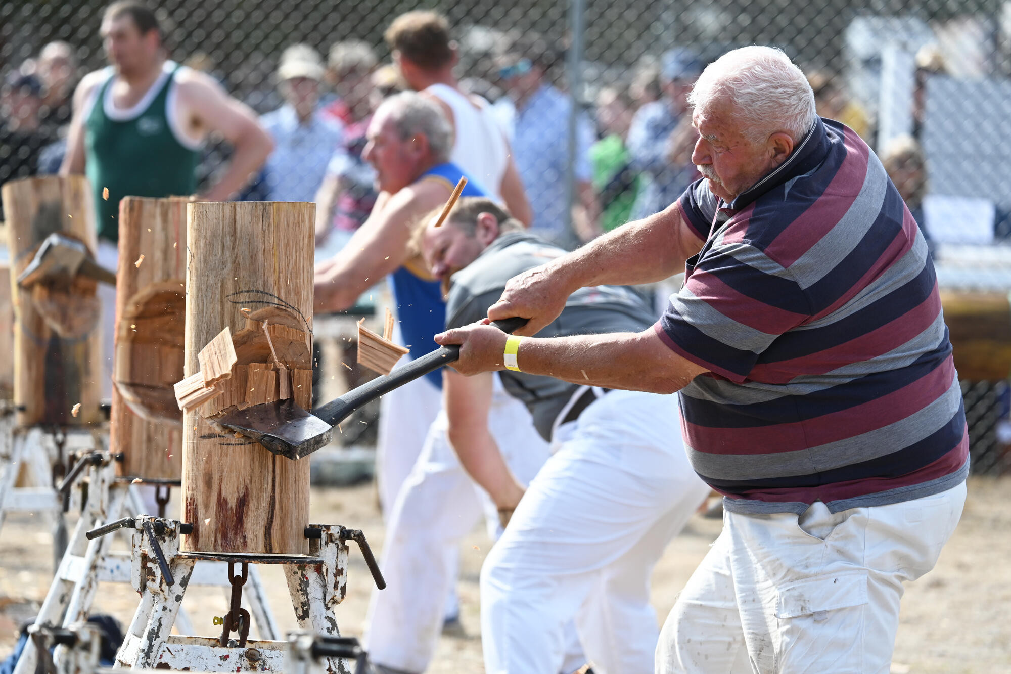 Draper, Meyer carnival stars of the woodchop - feature photo