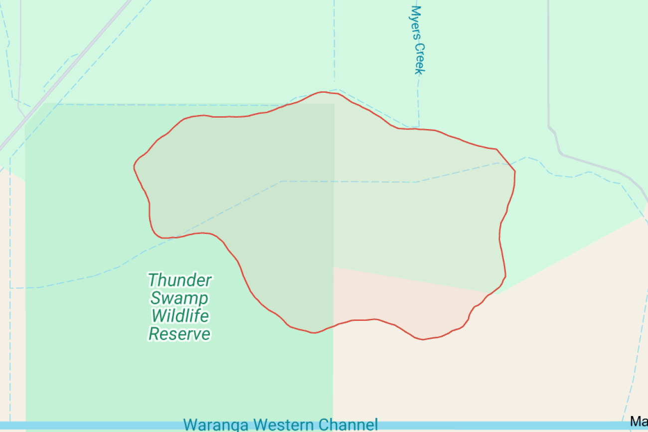 Thunder Swamp made priority for DJAARA restoration - feature photo