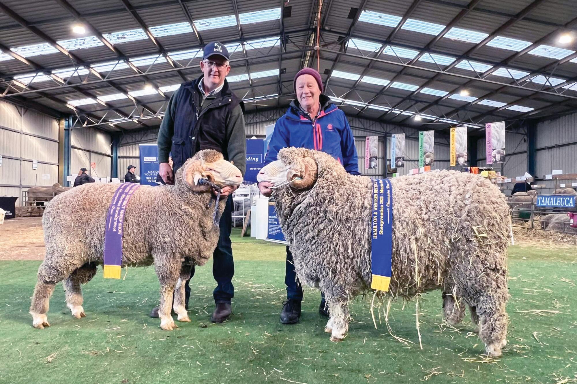Norm lands Sheepvention doubles - feature photo