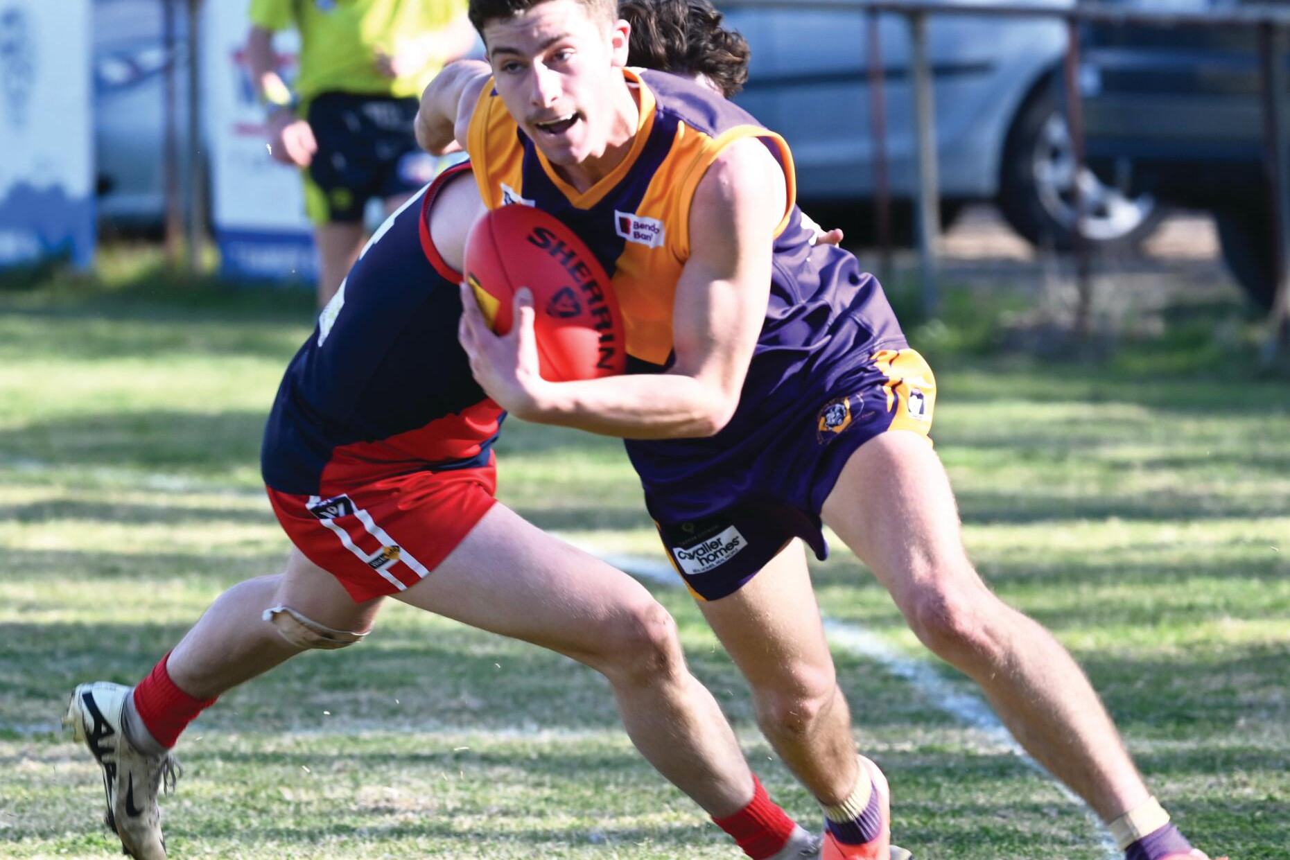Flying Bears leave Demons floundering - feature photo